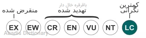 باقرقره خال دار